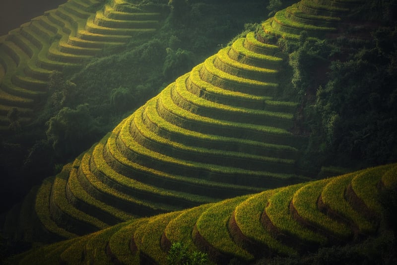 Agroecology