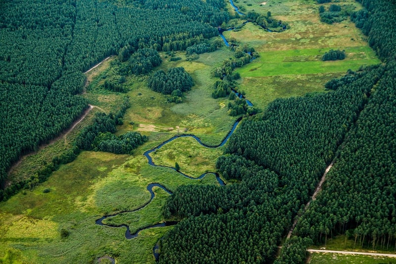 Environmental Scientist
